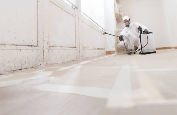 24/7 Emergency Mold Remediation experts in Dulles Town Center, VA