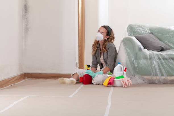 Reliable Mold Remediation contractor in Dulles Town Center, VA by 24 Hour Mold Removal